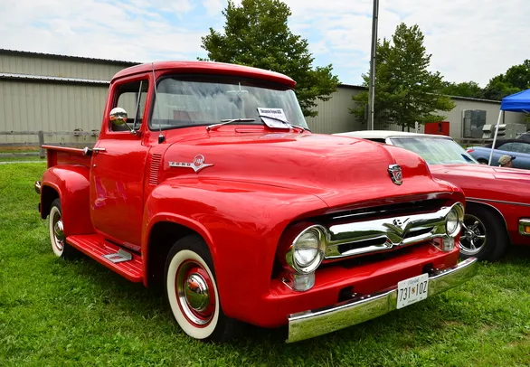 1955 FORD F-150 DIFETTI