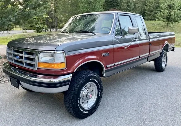 1995 FORD F-250 SUPER DUTY DIFETTI