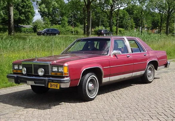 1979 FORD LTD DIFETTI